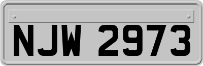 NJW2973