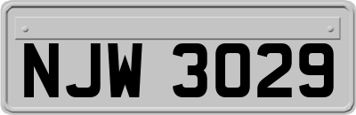 NJW3029