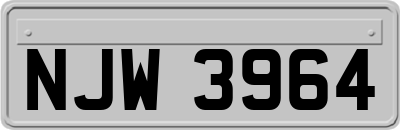 NJW3964