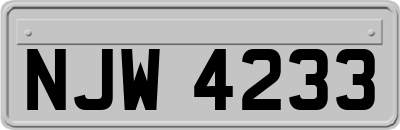 NJW4233