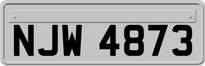 NJW4873
