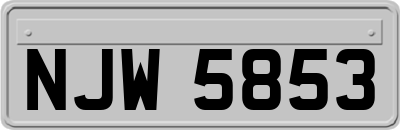 NJW5853
