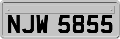 NJW5855