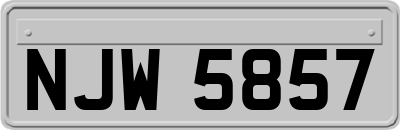 NJW5857
