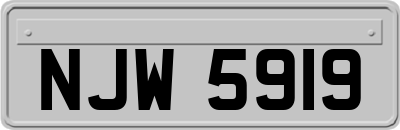 NJW5919
