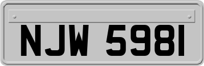 NJW5981