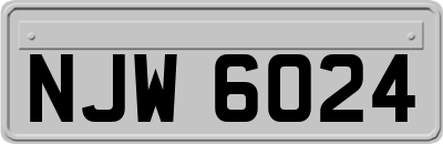 NJW6024
