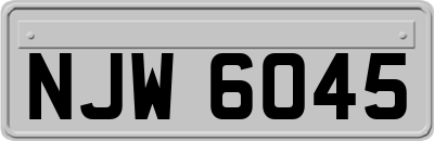 NJW6045