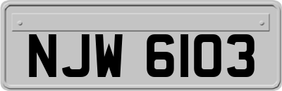 NJW6103