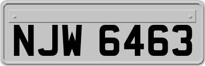 NJW6463