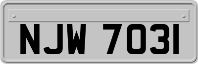 NJW7031