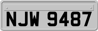 NJW9487