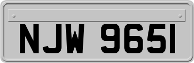 NJW9651