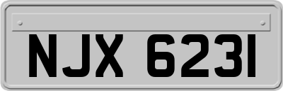 NJX6231