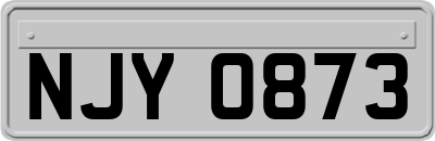 NJY0873