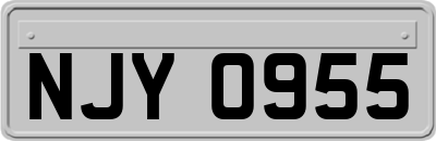 NJY0955