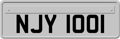 NJY1001