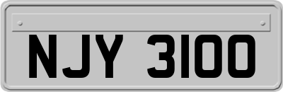 NJY3100