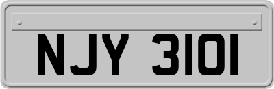 NJY3101