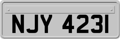 NJY4231