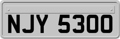 NJY5300