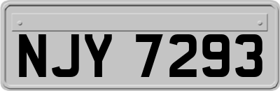 NJY7293