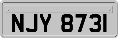 NJY8731