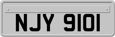 NJY9101