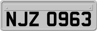 NJZ0963
