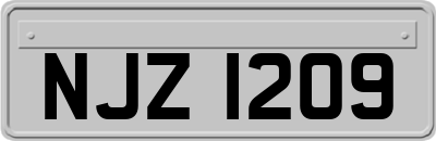 NJZ1209