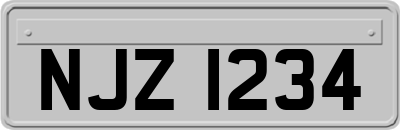 NJZ1234
