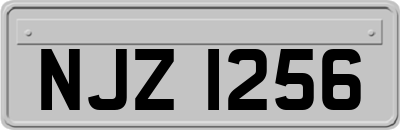NJZ1256