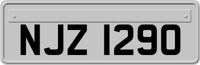 NJZ1290