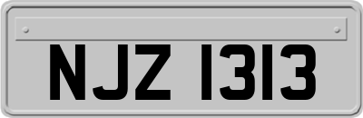 NJZ1313
