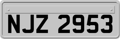 NJZ2953