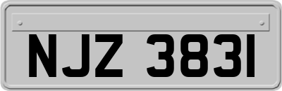 NJZ3831