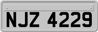 NJZ4229