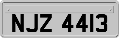 NJZ4413
