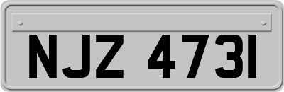 NJZ4731