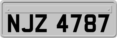 NJZ4787