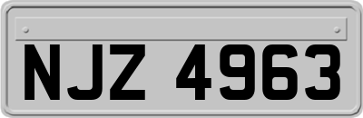NJZ4963