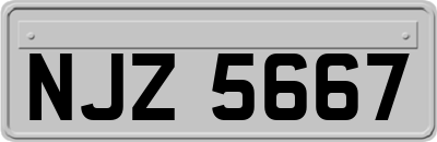 NJZ5667