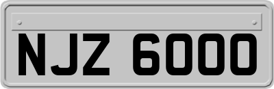NJZ6000