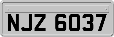 NJZ6037