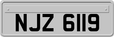 NJZ6119