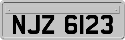 NJZ6123