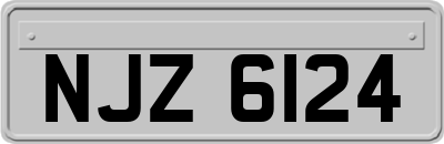 NJZ6124