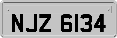 NJZ6134