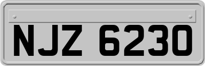 NJZ6230
