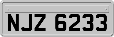 NJZ6233